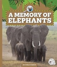 Enlarge image Cover: A Memory of Elephants - Child's World, Inc. Wonder Books