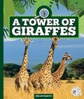 Cover: A Tower of Giraffes - Child's World, Inc. Wonder Books