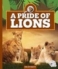 Cover: A Pride of Lions - Child's World, Inc. Wonder Books
