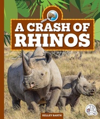 Enlarge image Cover: A Crash of Rhinos - Child's World, Inc. Wonder Books