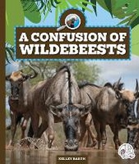 Enlarge image Cover: A Confusion of Wildebeests - Child's World, Inc. Wonder Books