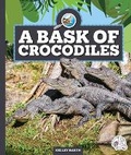 Cover: A Bask of Crocodiles - Child's World, Inc. Wonder Books