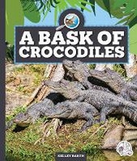 Enlarge image Cover: A Bask of Crocodiles - Child's World, Inc. Wonder Books