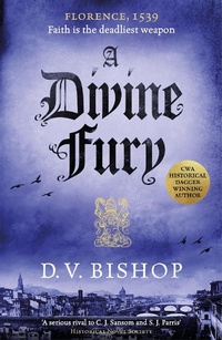 Abbildung von: A Divine Fury - Macmillan