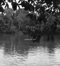 Cover: Dawoud Bey: Elegy - Aperture