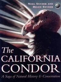 Abbildung von: The California Condor - Academic Press