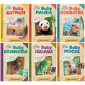 Cover: School & Library Active Minds Explorers Baby Animals Read-Along Series - Sequoia Kids Media