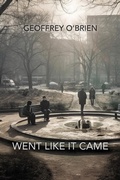 Cover: Went Like It Came - DOS Madres Press
