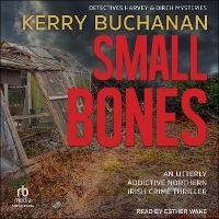 Enlarge image Cover: Small Bones - Tantor Audio