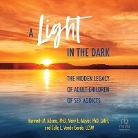 Enlarge image Cover: A Light in the Dark - HighBridge Audio