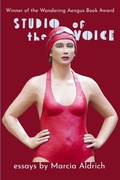 Cover: Studio of the Voice - Wandering Aengus Press