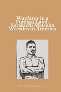 Cover: Wayfarer in a Foreign Land - IngramSpark