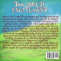 Enlarge image Cover: Too Much Excitement - Ghostwriting Venture
