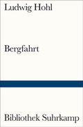 Cover: Bergfahrt - Suhrkamp