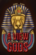 Cover: View from the Gods - Austin Macauley Publishers Ltd