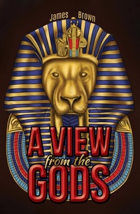 Enlarge image Cover: View from the Gods - Austin Macauley Publishers Ltd
