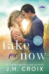 Abbildung von: Take Me Now - Frisky Fox Publishing, LLC