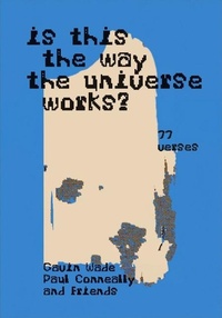 Enlarge image Cover: Is This the Way the Universe Works? - Set Margins' publications