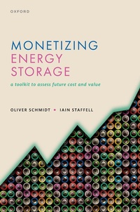 Abbildung von: Monetizing Energy Storage - OUP eBook