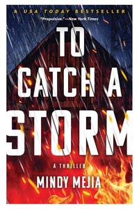 Enlarge image Cover: To Catch a Storm - Grove Press / Atlantic Monthly Press