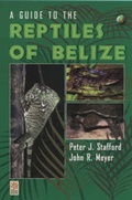 Cover: A Guide to the Reptiles of Belize - Academic Press