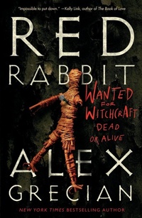 Enlarge image Cover: Red Rabbit - Tor Nightfire