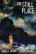 Cover: The Still Place - JOURNALSTONE