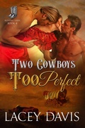 Cover: Two Cowboys Too Perfect (Blessing, Texas, #4) - Virtual Bookseller, LLC