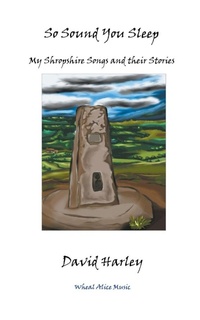 Enlarge image Cover: So Sound You Sleep - David Harley