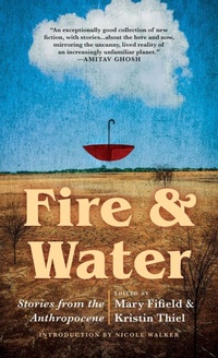 Enlarge image Cover: Fire & Water - Black Lawrence Press, Inc.