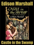 Cover: Castle in the Swamp - Alien eBooks