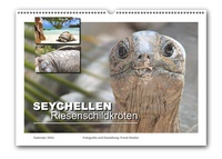 Abbildung von: Seychellen Riesenschildkröten (Wandkalender 2024, A3 quer) - Pixel-Büro. Melle