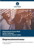 Cover: Depressionsniveau - Verlag Unser Wissen