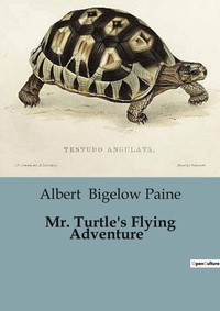 Abbildung von: Mr. Turtle's Flying Adventure - Culturea
