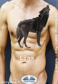 Cover: Liam - Tektime