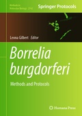 Bild: Borrelia burgdorferi - Humana