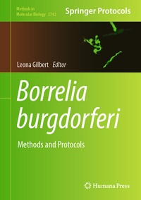 Bild: Borrelia burgdorferi - Humana