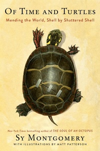 Enlarge image Cover: Of Time and Turtles - HarperCollins
