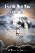 Cover: I Saw the Moon Wink - Arthur H.Stockwell Ltd