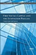 Cover: Firm Social Capital and the Innovation Process - now publishers Inc