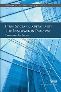 Enlarge image Cover: Firm Social Capital and the Innovation Process - now publishers Inc