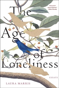 Enlarge image Cover: The Age of Loneliness - Graywolf Press
