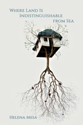 Cover: Where Land Is Indistinguishable from Sea - Terrapin Books