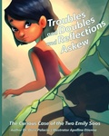 Cover: Troubles and Doubles and Reflections Askew - Brandylane Publishers, Inc.