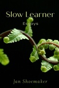 Cover: Slow Learner - Wandering Aengus Press