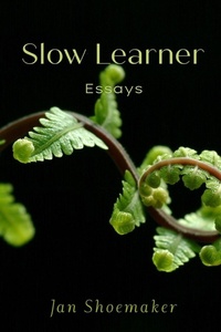 Enlarge image Cover: Slow Learner - Wandering Aengus Press