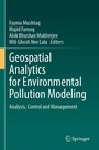 Cover: Geospatial Analytics for Environmental Pollution Modeling - Springer