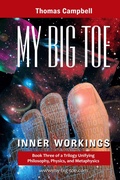 Cover: My Big TOE - Inner Workings H - Lightning Strike Books