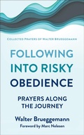 Cover: Following into Risky Obedience - Westminster John Knox Press