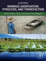 Bild: Biomass Gasification, Pyrolysis, and Torrefaction - Academic Press